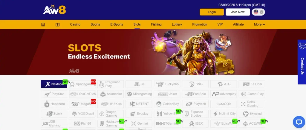 Slot Bonuses and Free Spins